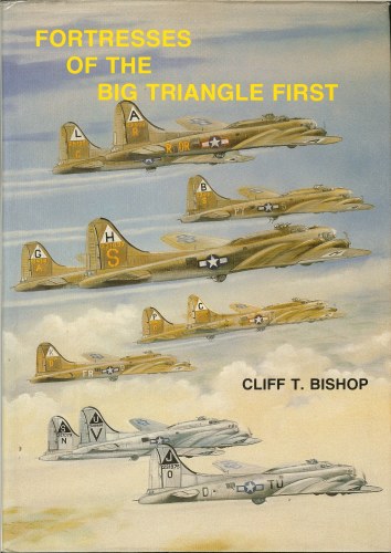 Image for FORTRESSES OF THE BIG TRIANGLE FIRST