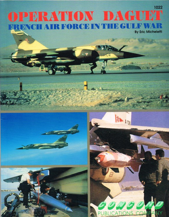 Image for OPERATION DAGUET: FRENCH AIR FORCE IN THE GULF WAR