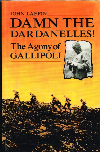 Image for DAMN THE DARDANELLES! THE AGONY OF GALLIPOLI