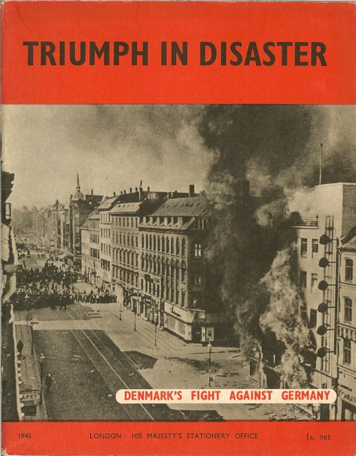 Image for TRIUMPH IN DISASTER: DENMARK'S FIGHT AGAINST GERMANY