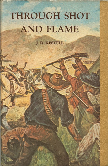Image for THROUGH SHOT AND FLAME