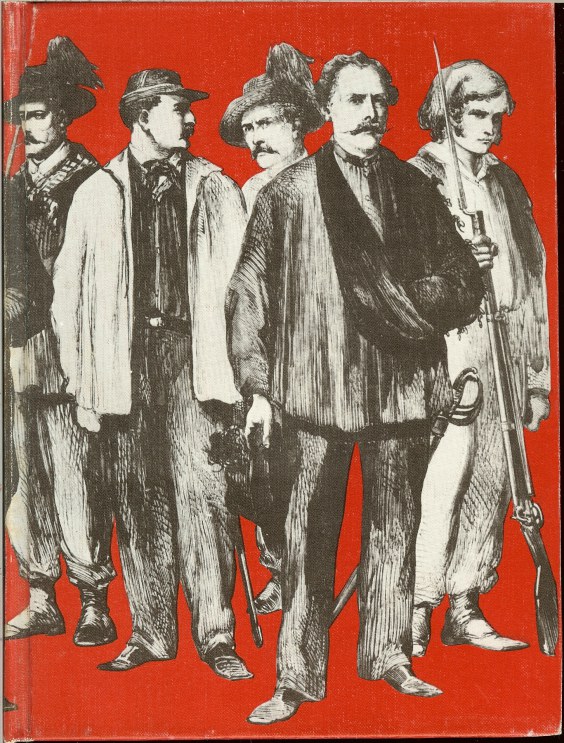Image for THE FIGHT FOR FREEDOM: PALERMO 1860