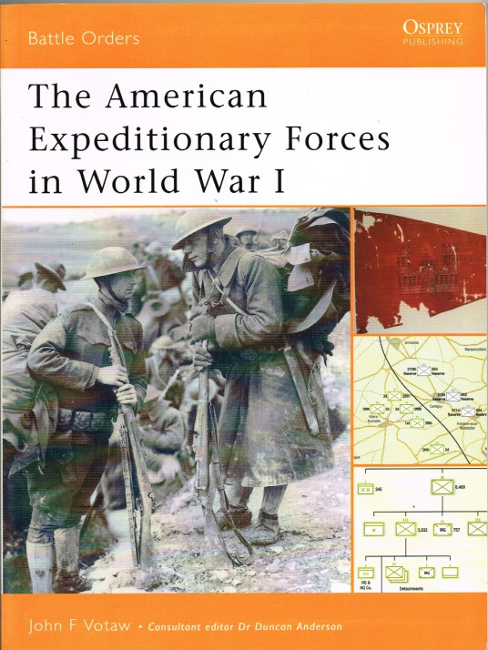 Image for THE AMERICAN EXPEDITIONARY FORCES IN WORLD WAR I
