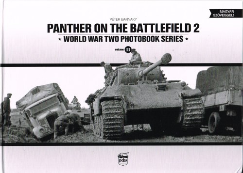 Image for PANTHER ON THE BATTLEFIELD 2
