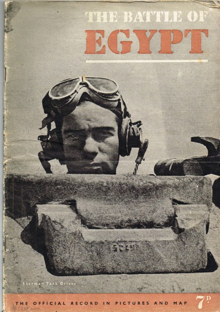 Image for THE BATTLE OF EGYPT : THE OFFICIAL RECORD IN PICTURES AND MAPS